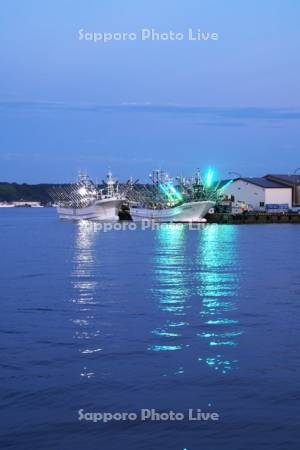 花咲港のサンマ漁船　朝