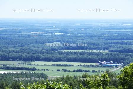 根釧台地の格子状防風林