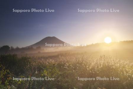 羊蹄山の日の出