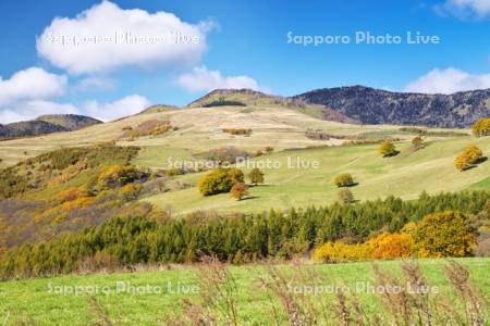 ナイタイ高原牧場の紅葉