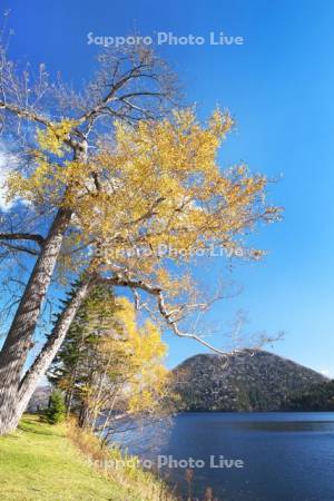 然別湖と天望山の紅葉