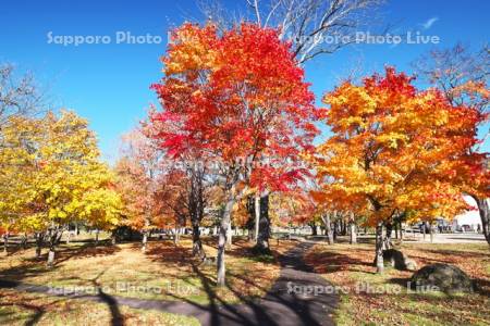 ぬかびら源泉郷　温泉公園の紅葉