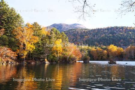 阿寒湖滝口の紅葉と雄阿寒岳