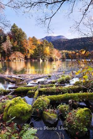 阿寒湖滝口の紅葉と雄阿寒岳