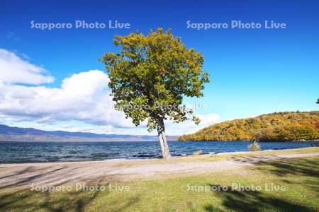 屈斜路湖　和琴半島の紅葉
