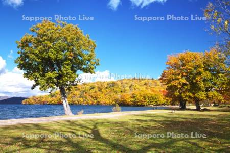 屈斜路湖　和琴半島の紅葉