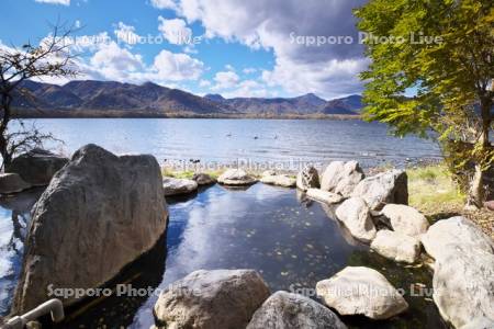 屈斜路湖　コタンの露天風呂と白鳥