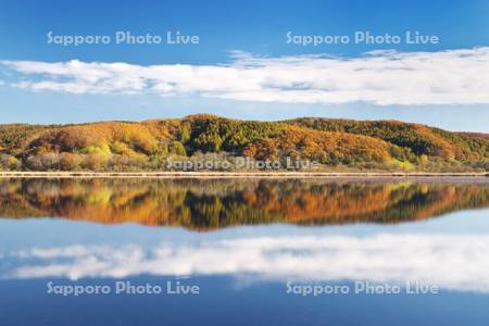 達古武湖の紅葉