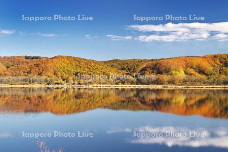 達古武湖の紅葉