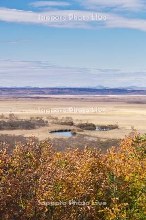 釧路湿原の紅葉