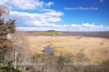 コッタロ湿原　釧路湿原