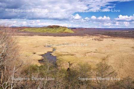 コッタロ湿原　釧路湿原