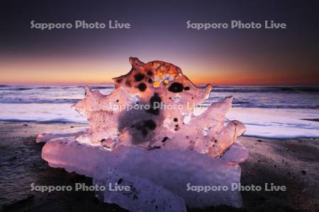 十勝のジュエリーアイスの朝　太平洋