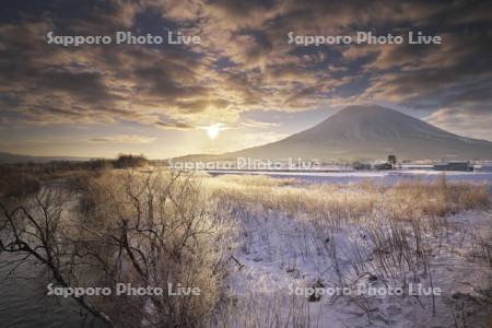 尻別川の樹氷と羊蹄山の日の出