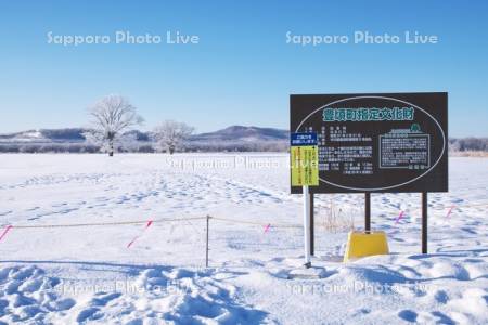 はるにれの木　樹氷
