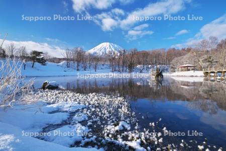 ふきだし公園と羊蹄山とフロストフラワー(霜の花)