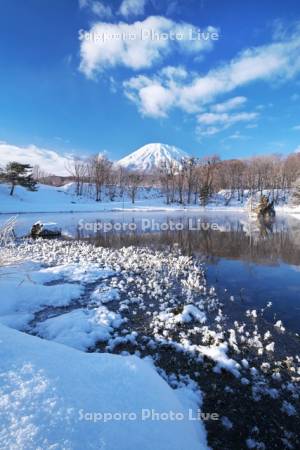 ふきだし公園と羊蹄山とフロストフラワー(霜の花)