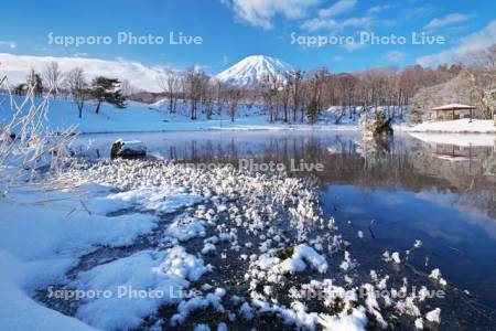 ふきだし公園と羊蹄山とフロストフラワー(霜の花)