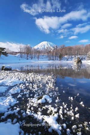 ふきだし公園と羊蹄山とフロストフラワー(霜の花)