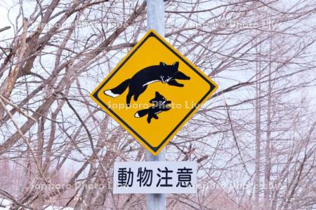 動物注意の道路標識