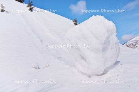ホロホロ峠の雪まくり（70㎝）