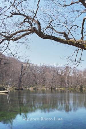 鳥沼公園