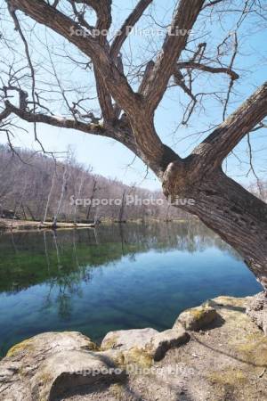鳥沼公園