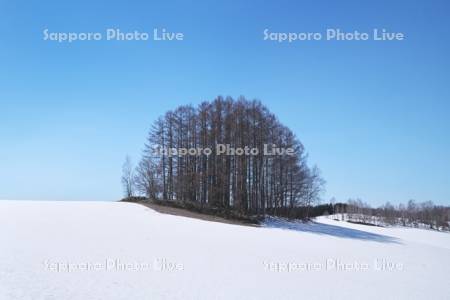 マイルドセブンの丘と残雪