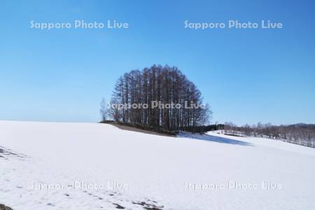 マイルドセブンの丘と残雪