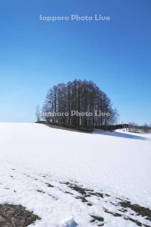 マイルドセブンの丘と残雪