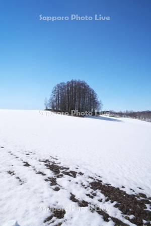 マイルドセブンの丘と残雪