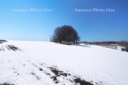 マイルドセブンの丘と残雪
