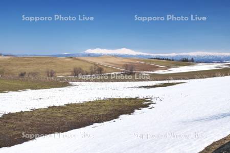大雪山と残雪の農地