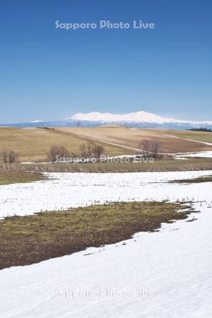 大雪山と残雪の農地