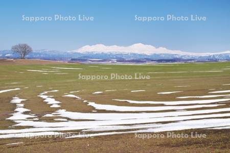 大雪山と残雪の農地