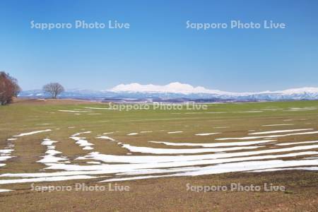 大雪山と残雪の農地