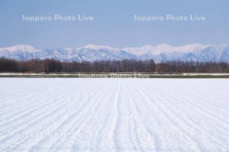 日高山脈と農地