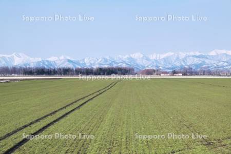 日高山脈と農地