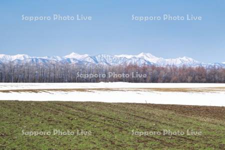 日高山脈と残雪の農地