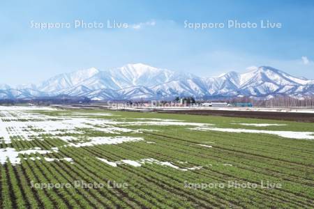 日高山脈と残雪の農地
