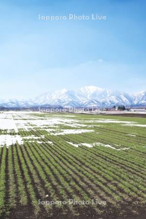 日高山脈と残雪の農地