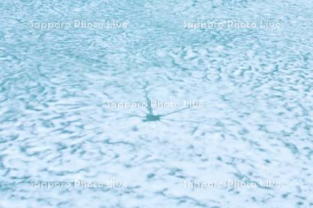 氷の残るシューパロ湖の氷
