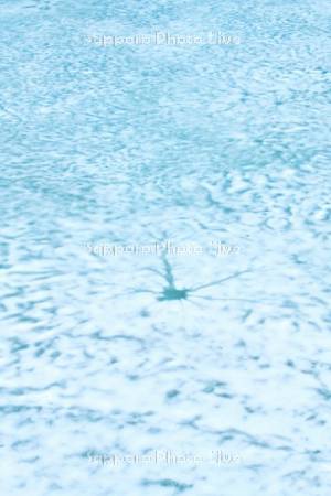 氷の残るシューパロ湖の氷