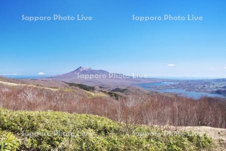 きじひき高原より望む大沼（右）と駒ケ岳