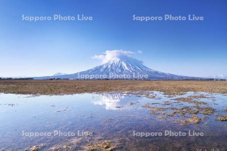 羊蹄山と農地