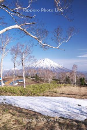 羊蹄山と残雪