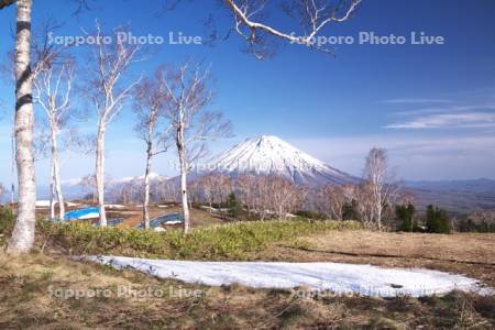 羊蹄山と残雪