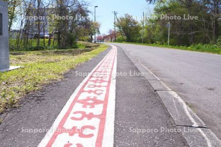 入江式土器の模様の道