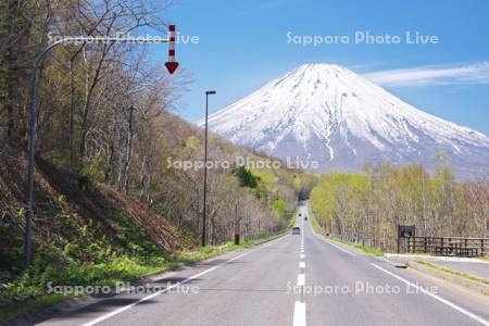 羊蹄山と道（国道276）