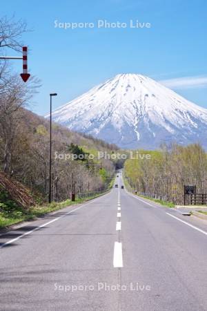 羊蹄山と道（国道276）